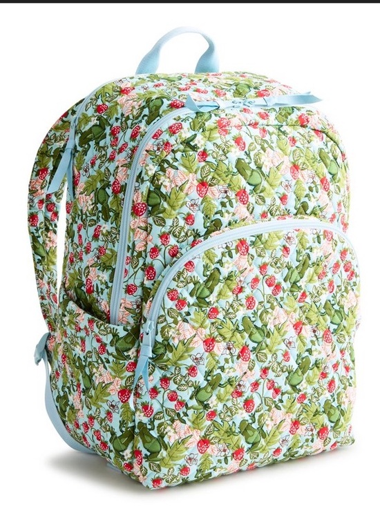 Vera Bradley Handbags - Vera Bradley Essential Large Backpack in Frogberry Garden Blue NWT